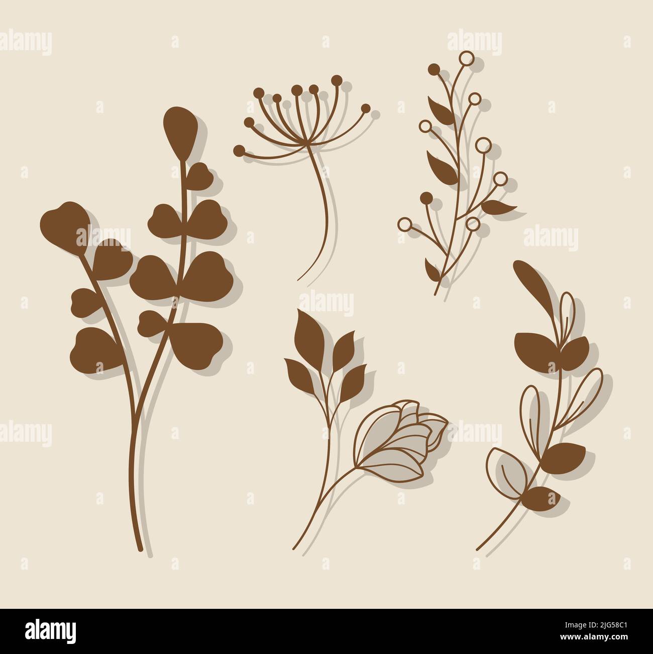 five floral decorations icons Stock Vector