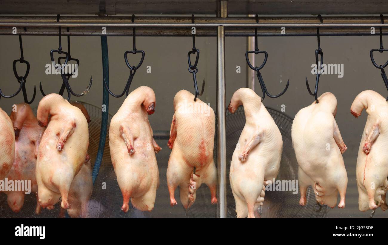 Chinese restaurant show window with hanging Peking duck before roasting
