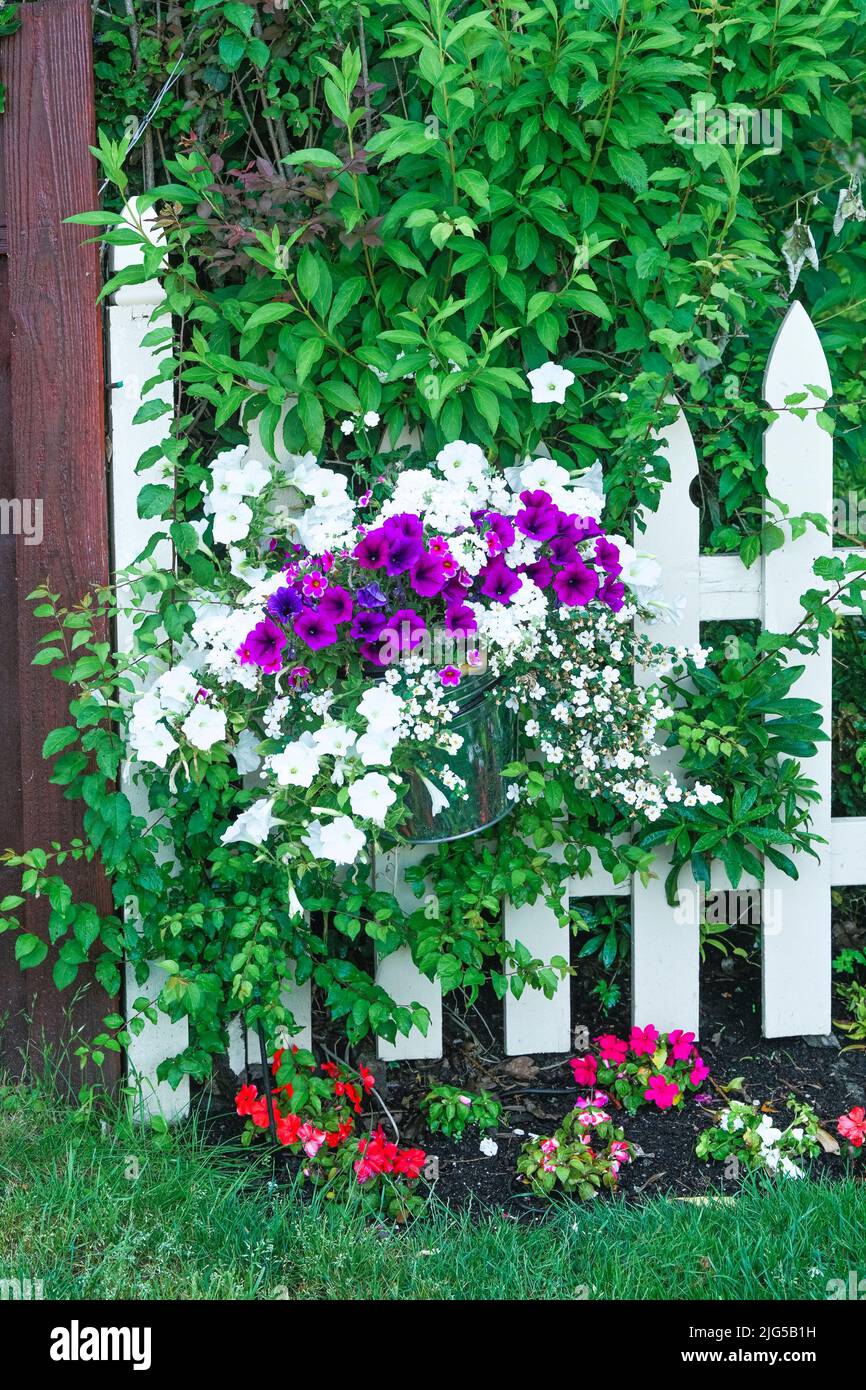 Buckets of flowers on garden fence, Brentwood Bay, Greater Victoria, British Columbia, Canada Stock Photo