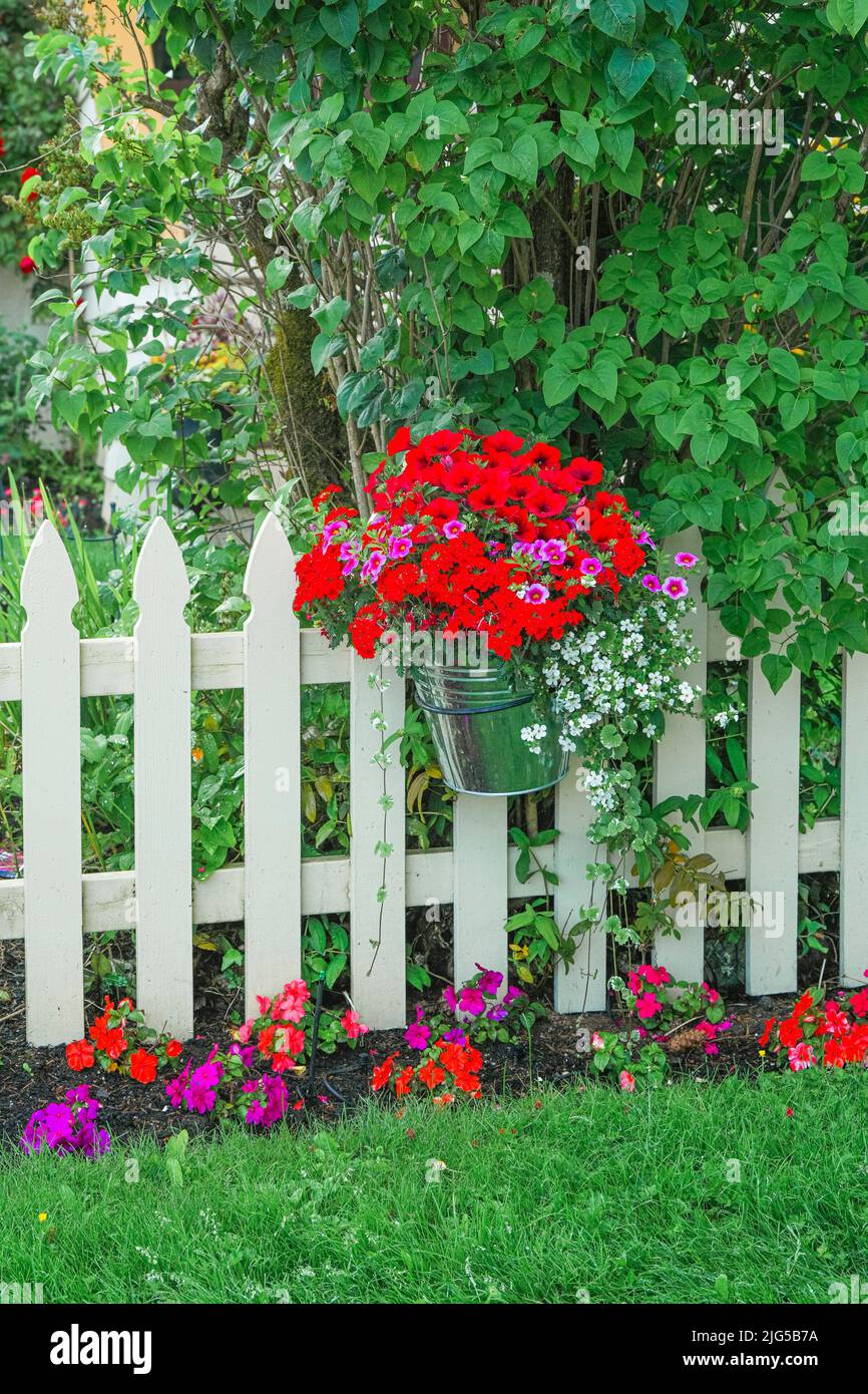 Buckets of flowers on garden fence, Brentwood Bay, Greater Victoria, British Columbia, Canada Stock Photo