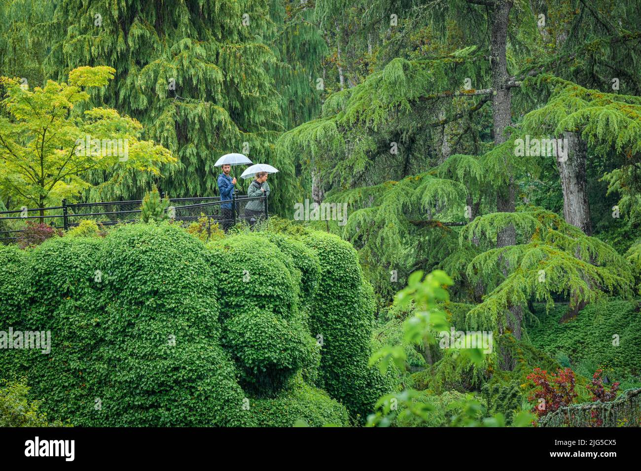 Couple with umbrellas, Sunken Garden lookout, Butchart Gardens, Brentwood Bay, Greater Victoria, British Columbia, Canada Stock Photo