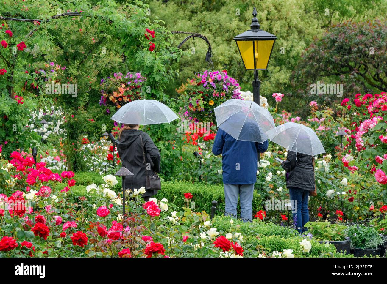 People with umbrellas, Rose Garden, Butchart Gardens, Brentwood Bay, Greater Victoria, British Columbia, Canada Stock Photo