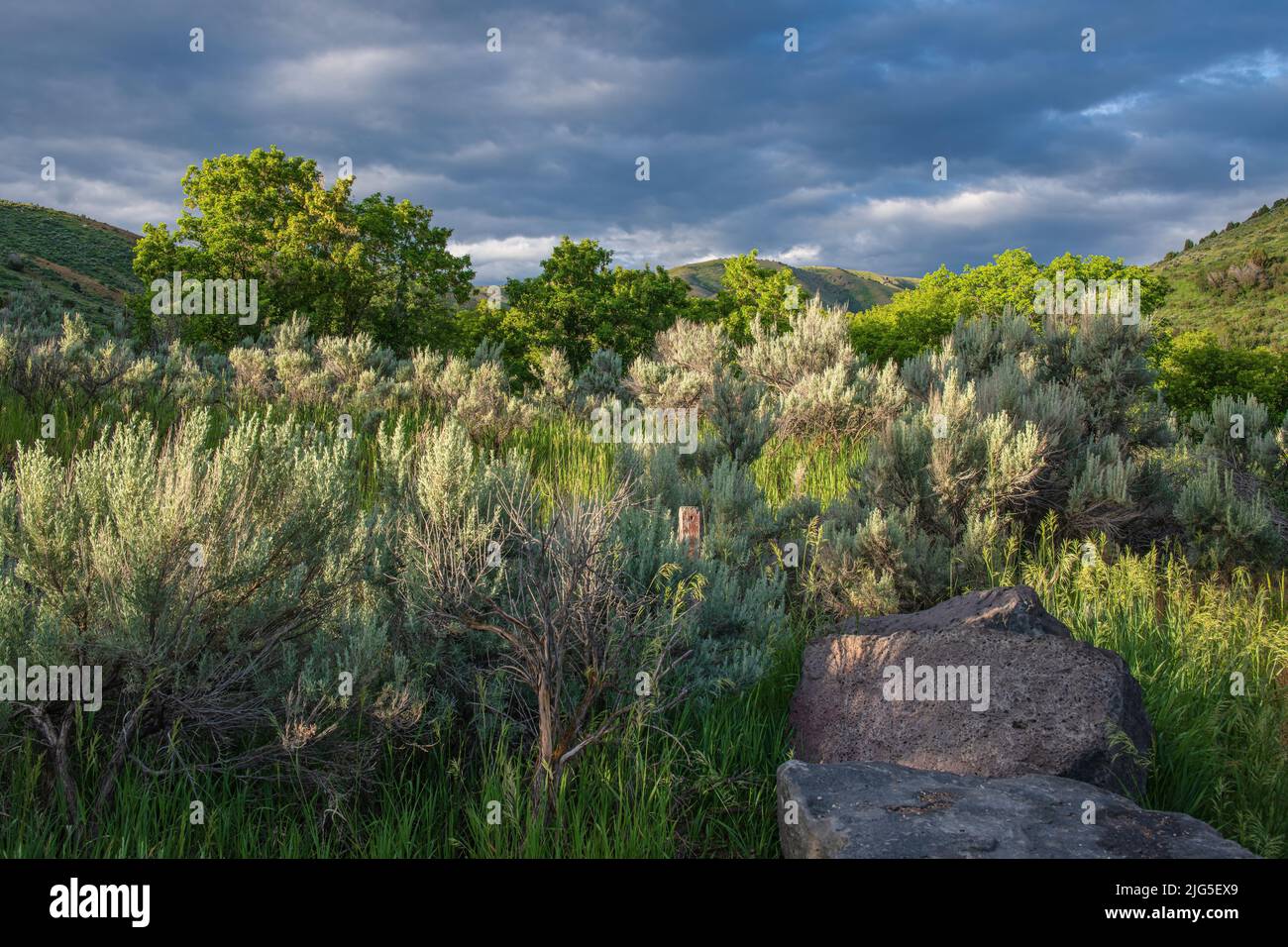 Cherry Spring park and wilderness in morning light Idaho state. Stock Photo