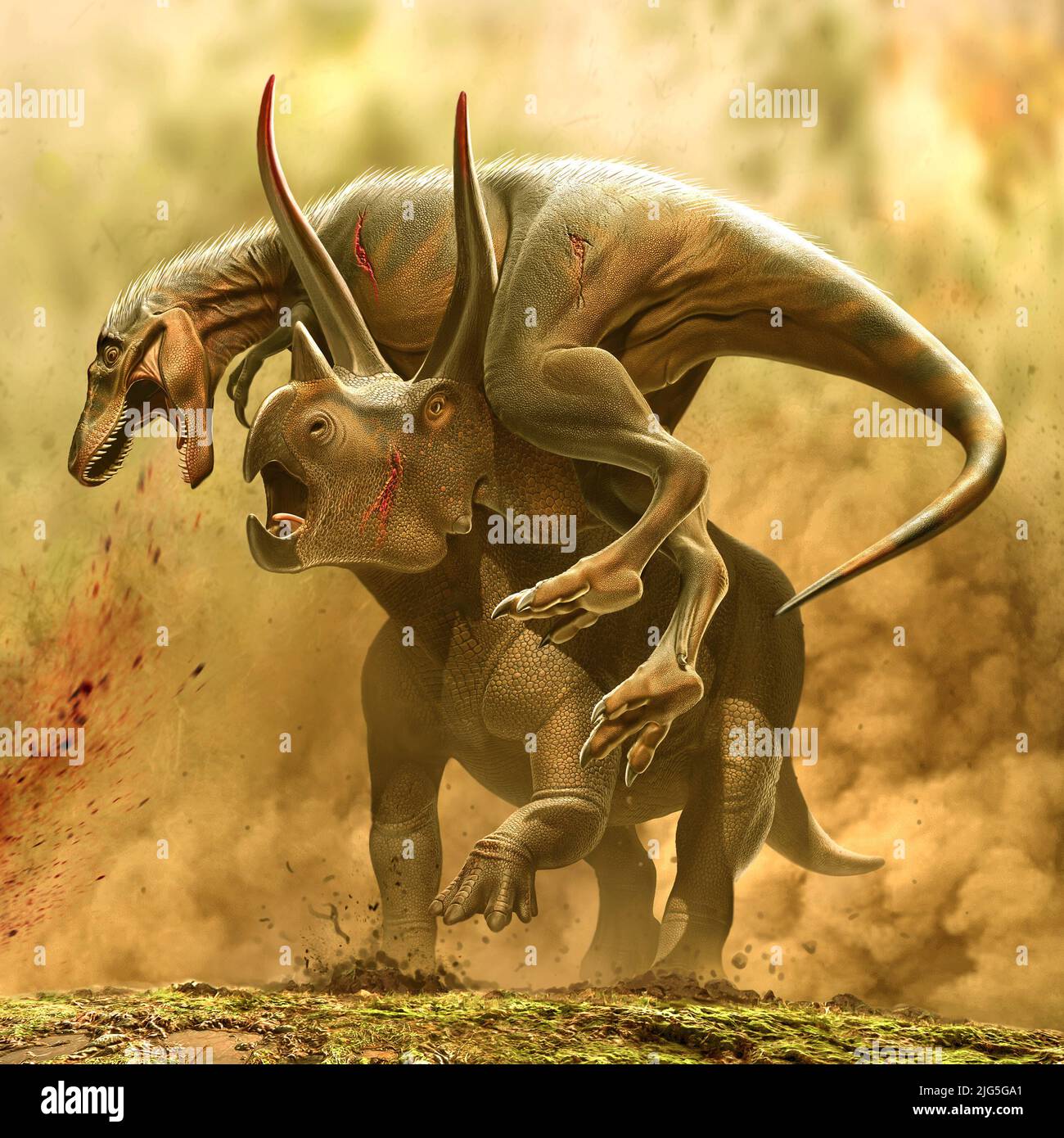 Juvenile T. rex Vs Triceratops Stock Photo