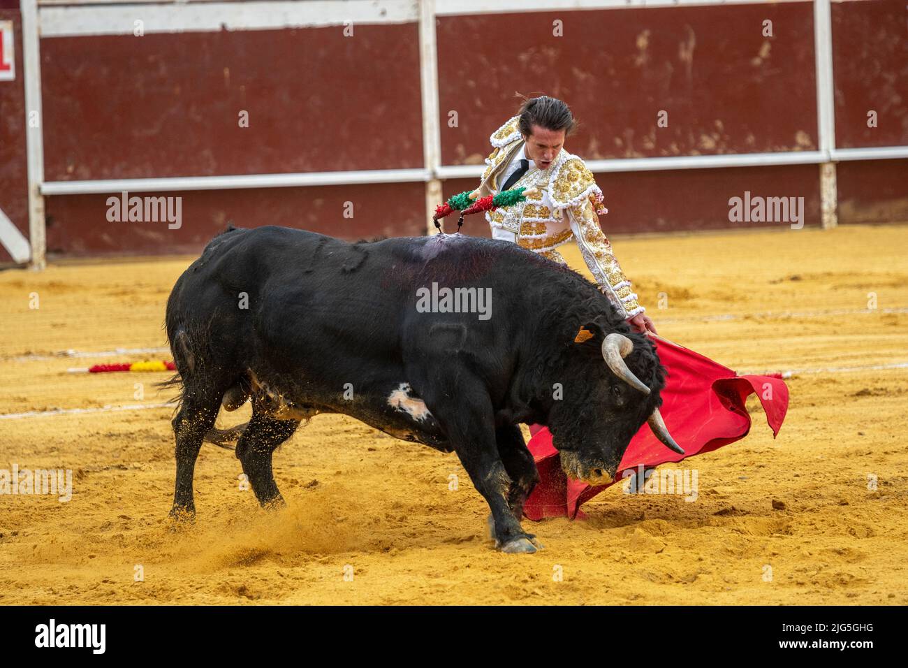 Bullfight in Sanlucar la mayor, Spain Stock Photo