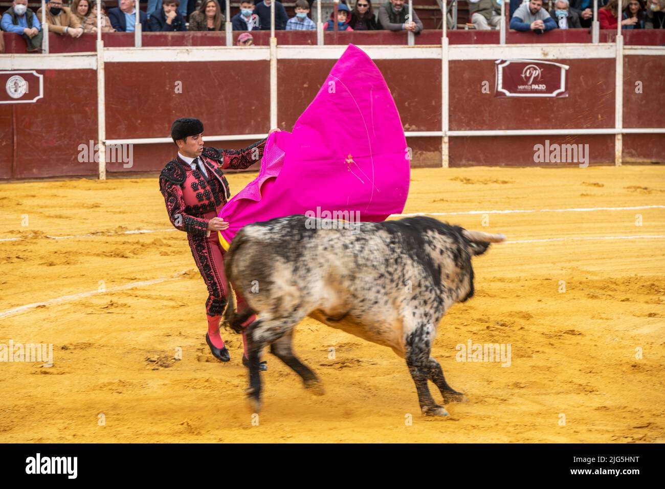 Bullfight in Sanlucar la mayor, Spain Stock Photo