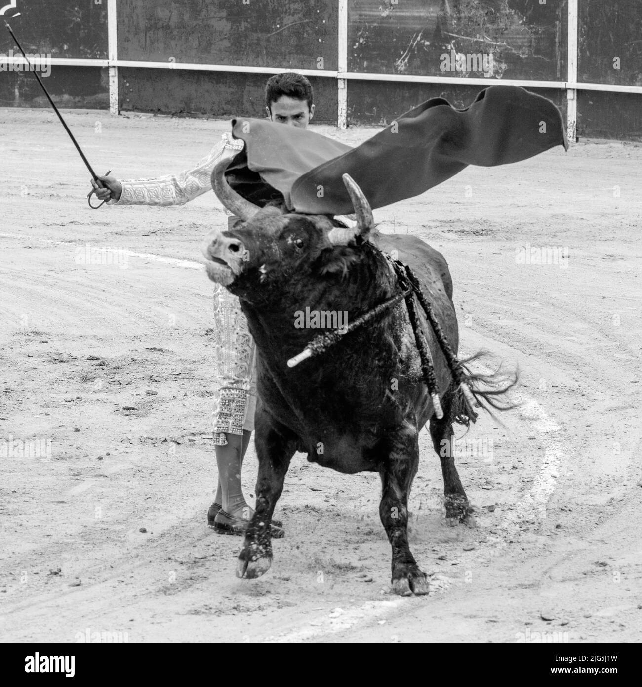 Bullfighting in Sanlucar, Spain Stock Photo