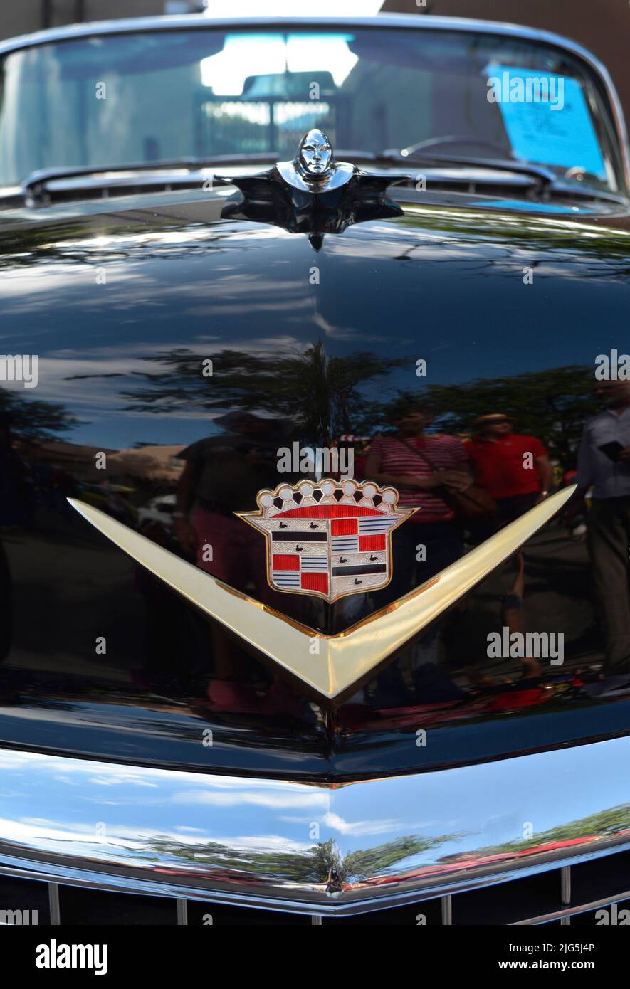 Alexander dorado hires stock photography and images Alamy