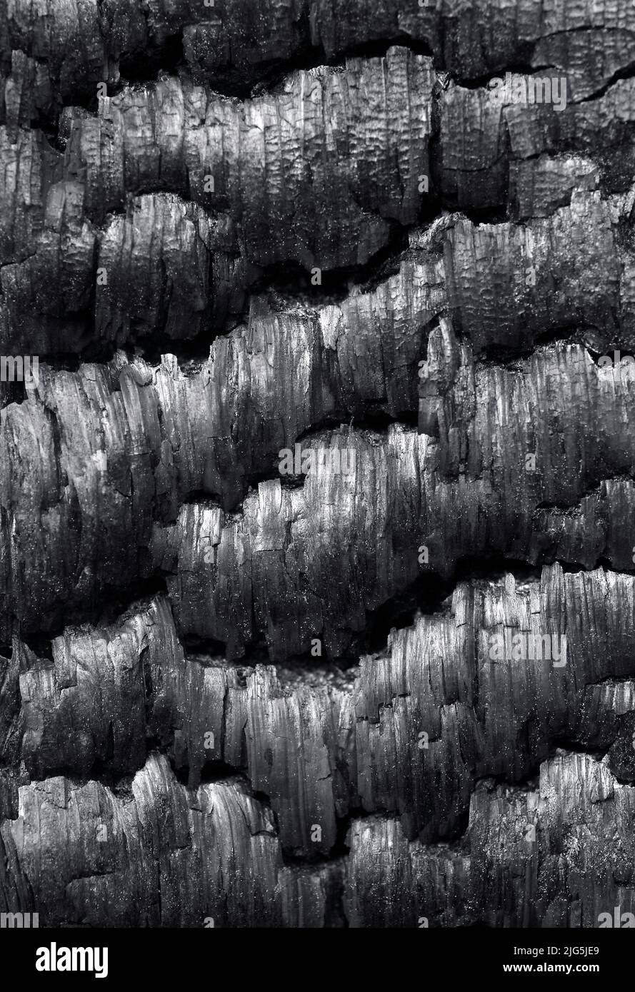 Burnt wood Stock Photo