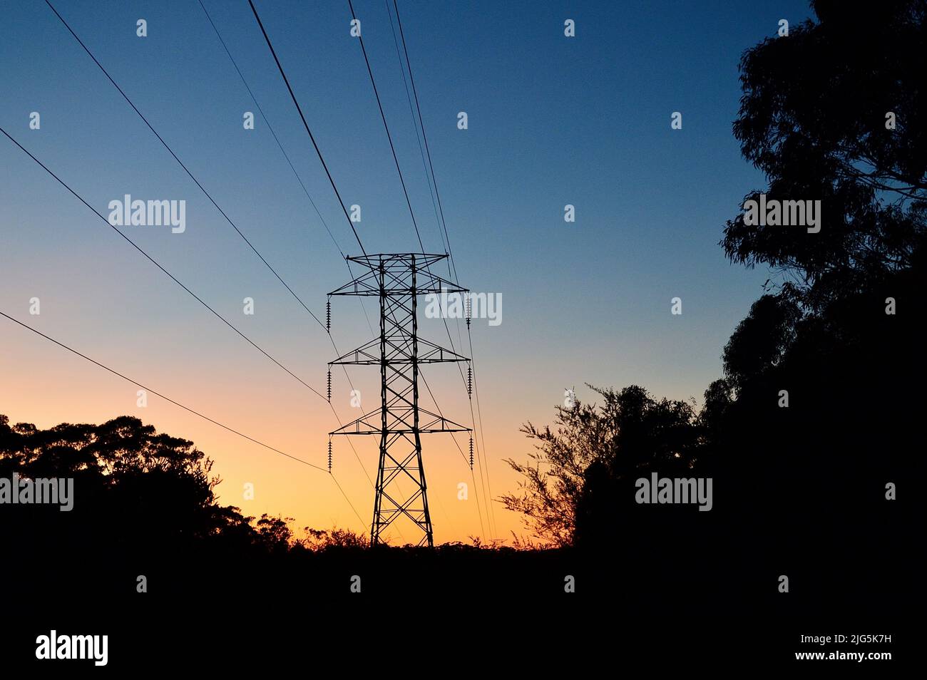 Power lines at sunrise in the forest Stock Photo - Alamy