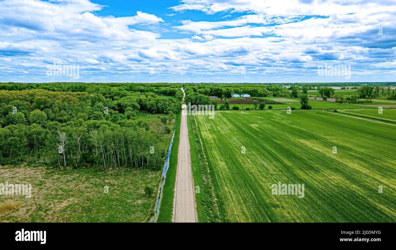 Green fields and green grass with green trees. A rural road extends to