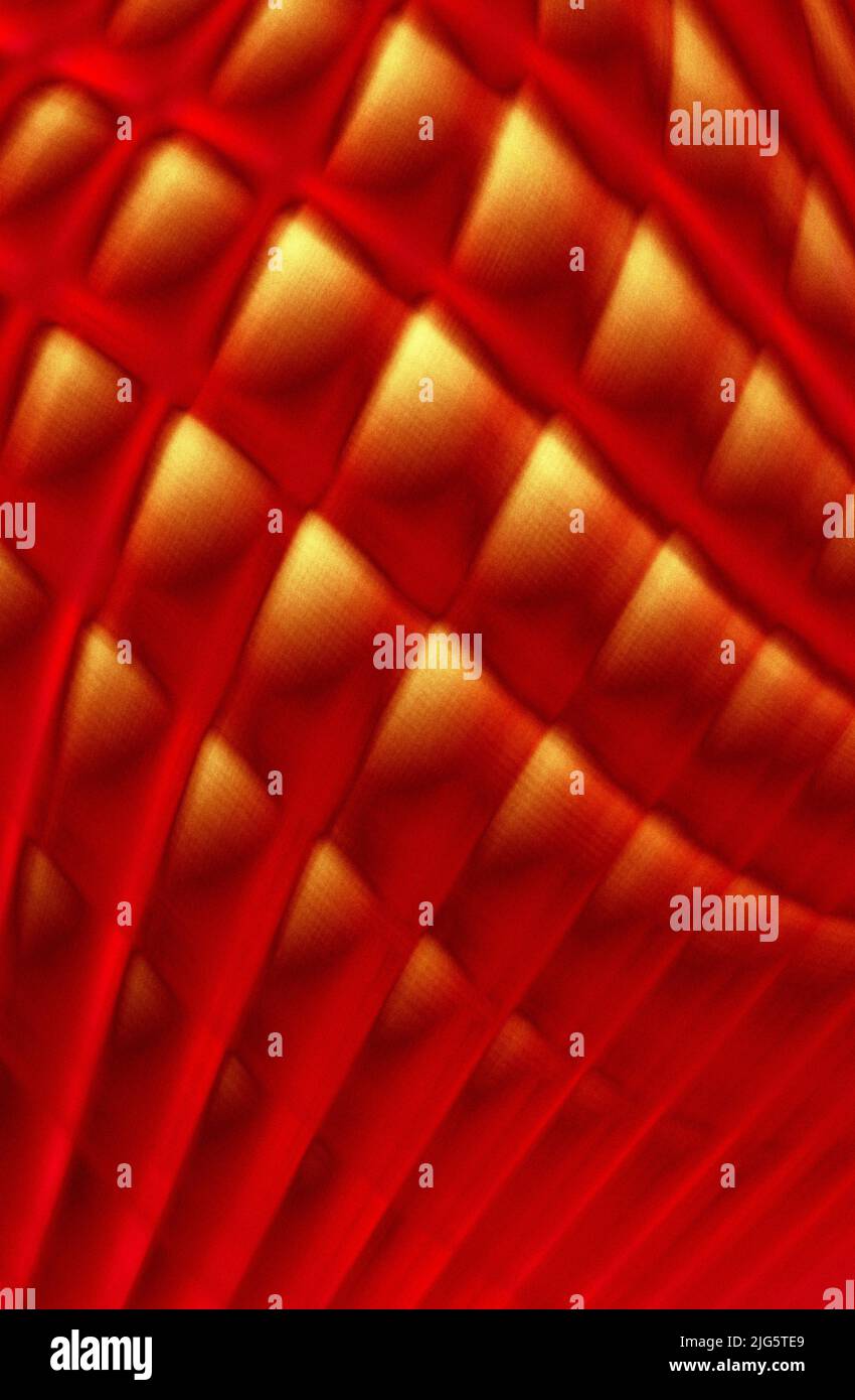 Abstract technology design hi-res stock photography and images - Alamy