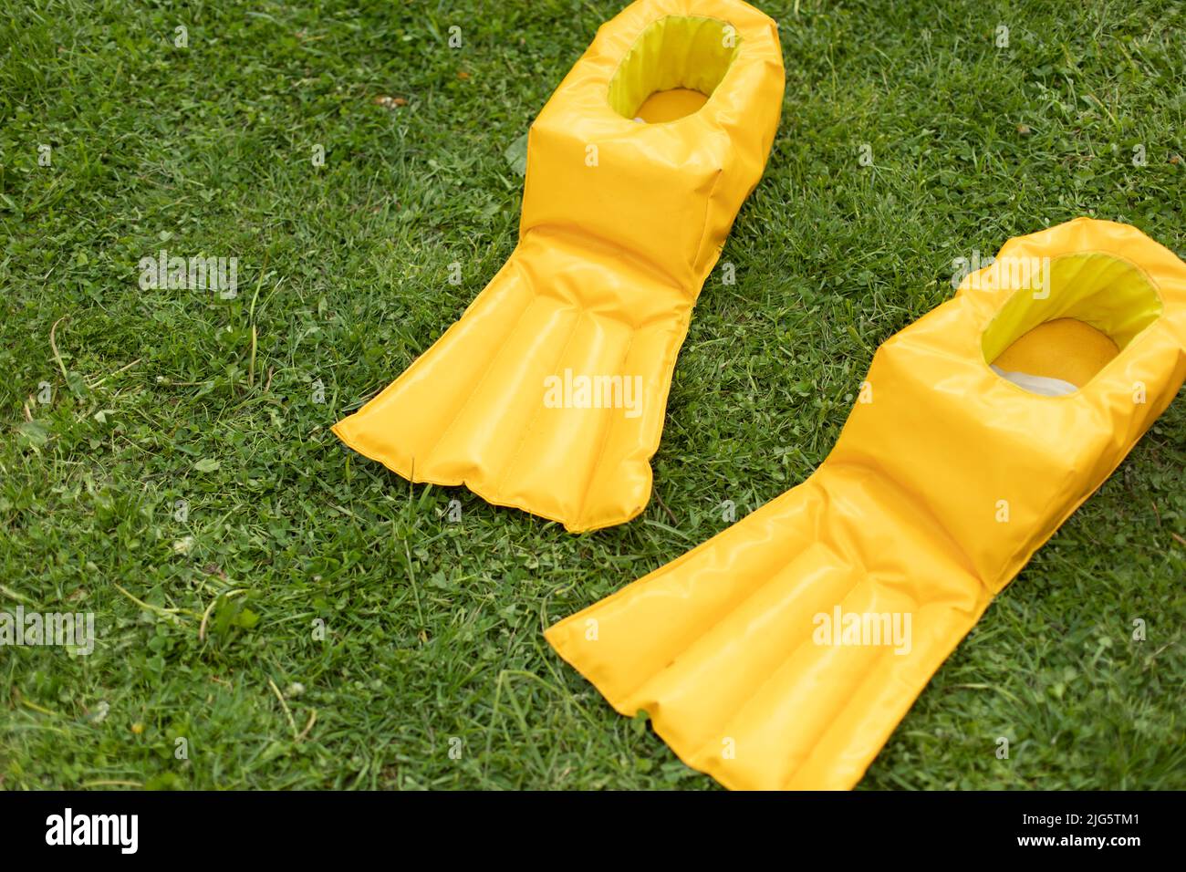 Fun shoes. Duck legs. Flippers for running. Entertainment equipment. Details of holiday. Stock Photo
