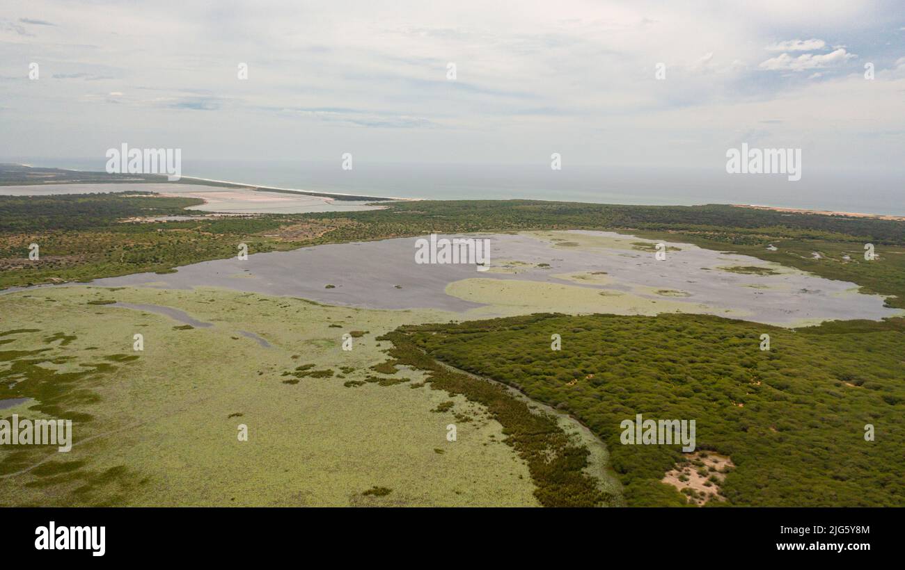 Wetlands and lakes with tropical vegetation, natural habitat for animals. Sri Lanka. Stock Photo