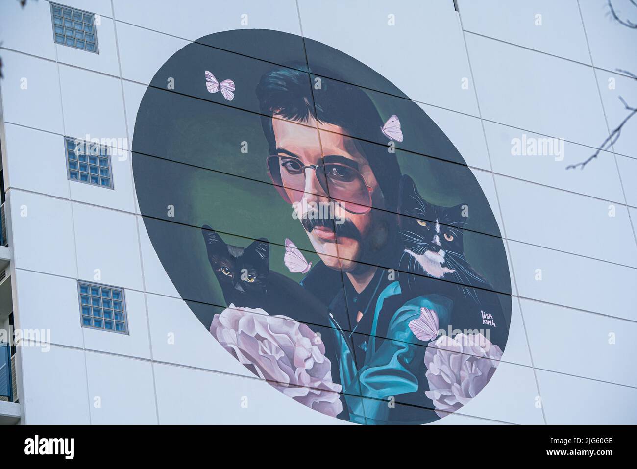 7 July 2022. A  mural of Freddie Mercury by Lisa King, in Adelaide, Australia Stock Photo