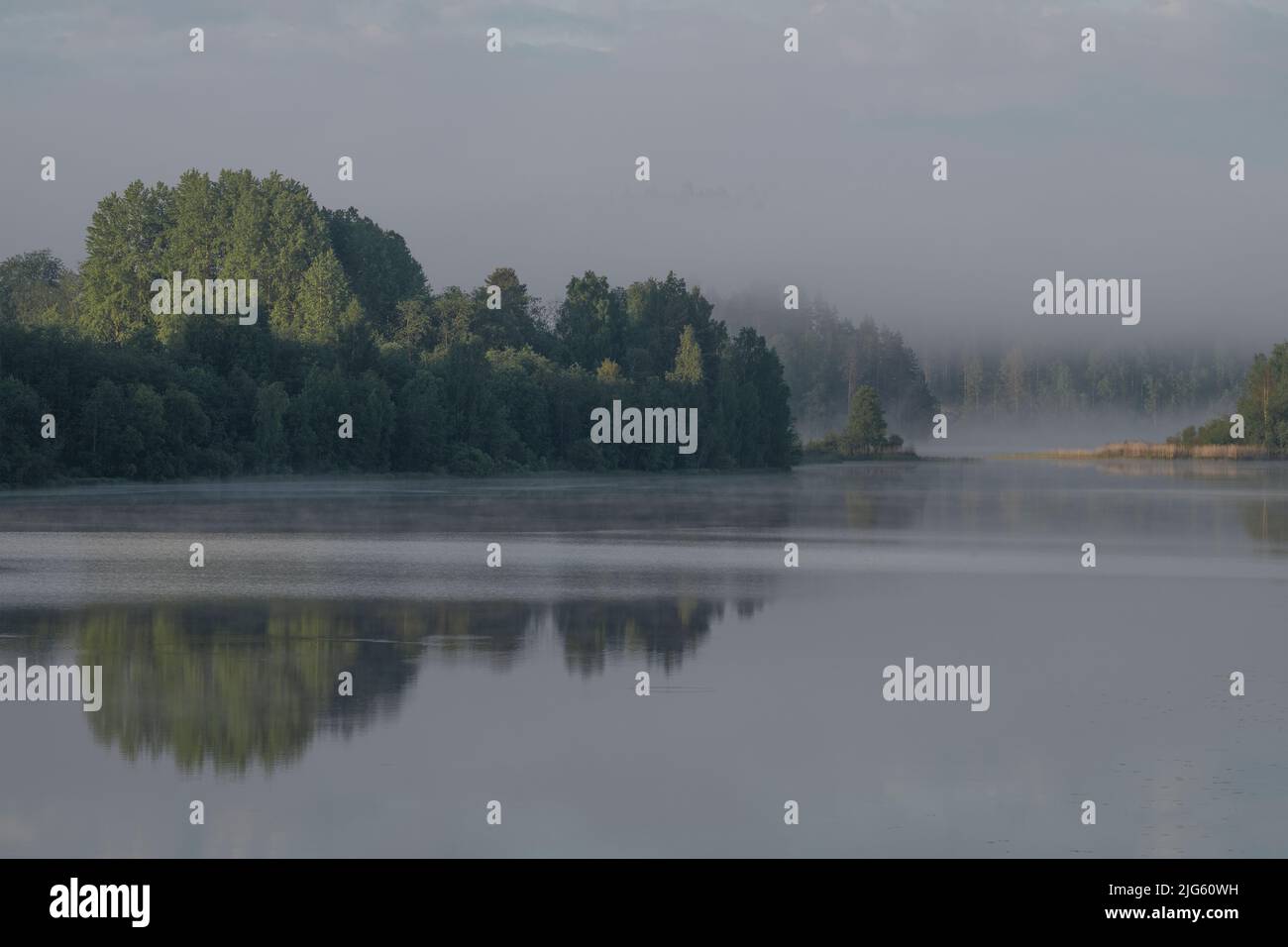 Foggy June morning in Ladoga skerries. Ladoga lake. Karelia, Russian Federation Stock Photo