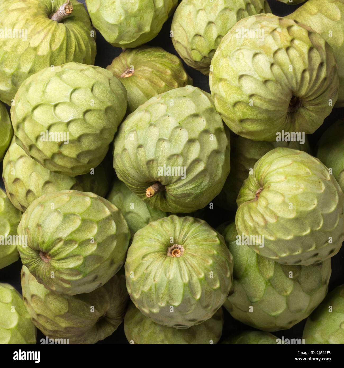 cherimoya, annona cherimoya, cone shaped edible fruit also known as