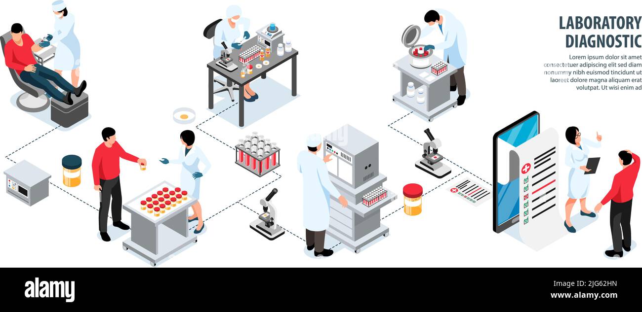 Isometric laboratory diagnostic infographics with flowchart of ...