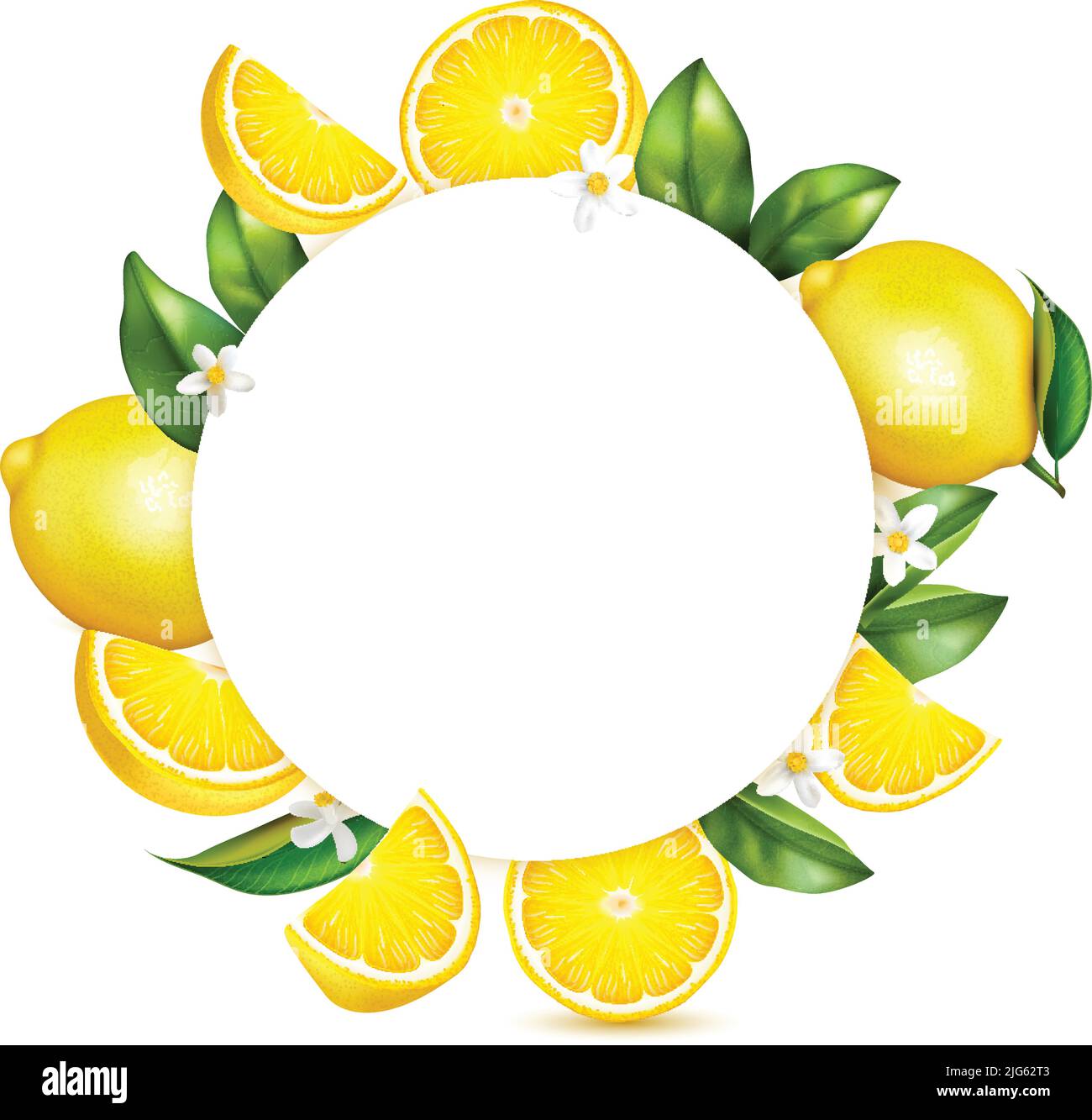 Citrus lemon fresh fruit leaves blossoms realistic circular composition ...