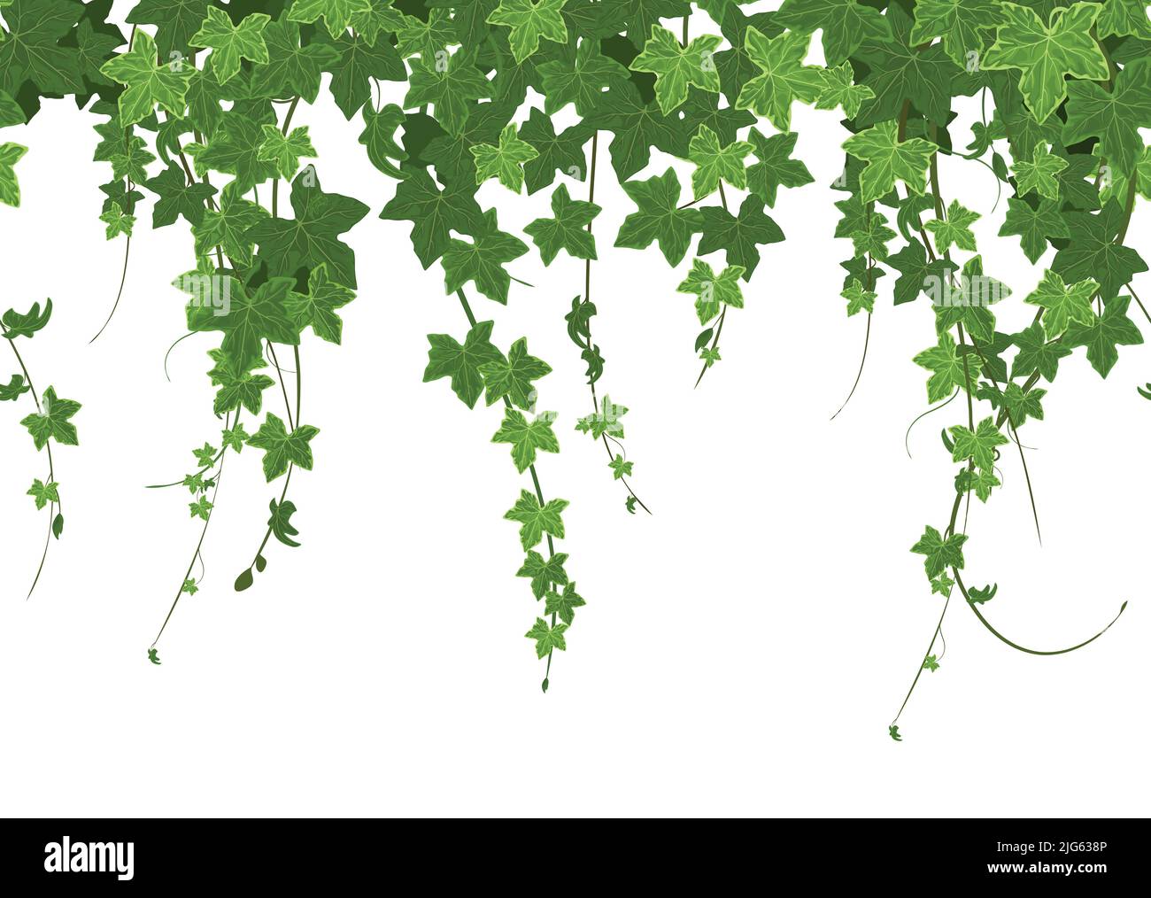 Ivy climbing plant border seamless composition with row of ripe leaves with verdant hedge and greenery vector illustration Stock Vector