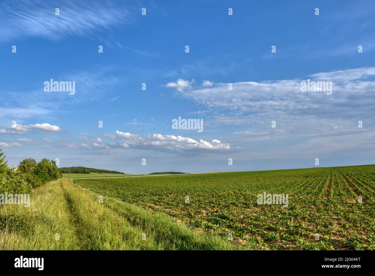 Pulkau, Landwirtschaft, Hügelland, Feld, Waldviertel, Niederösterreich, Felder, Acker, Himmel, Wolken, flach, ruhig, still, abgelegen, einsam, Natur, Stock Photo