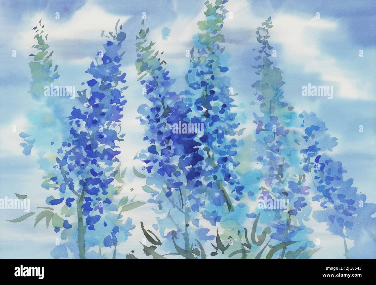 Blue summer flowers and clouds watercolor background Stock Photo - Alamy