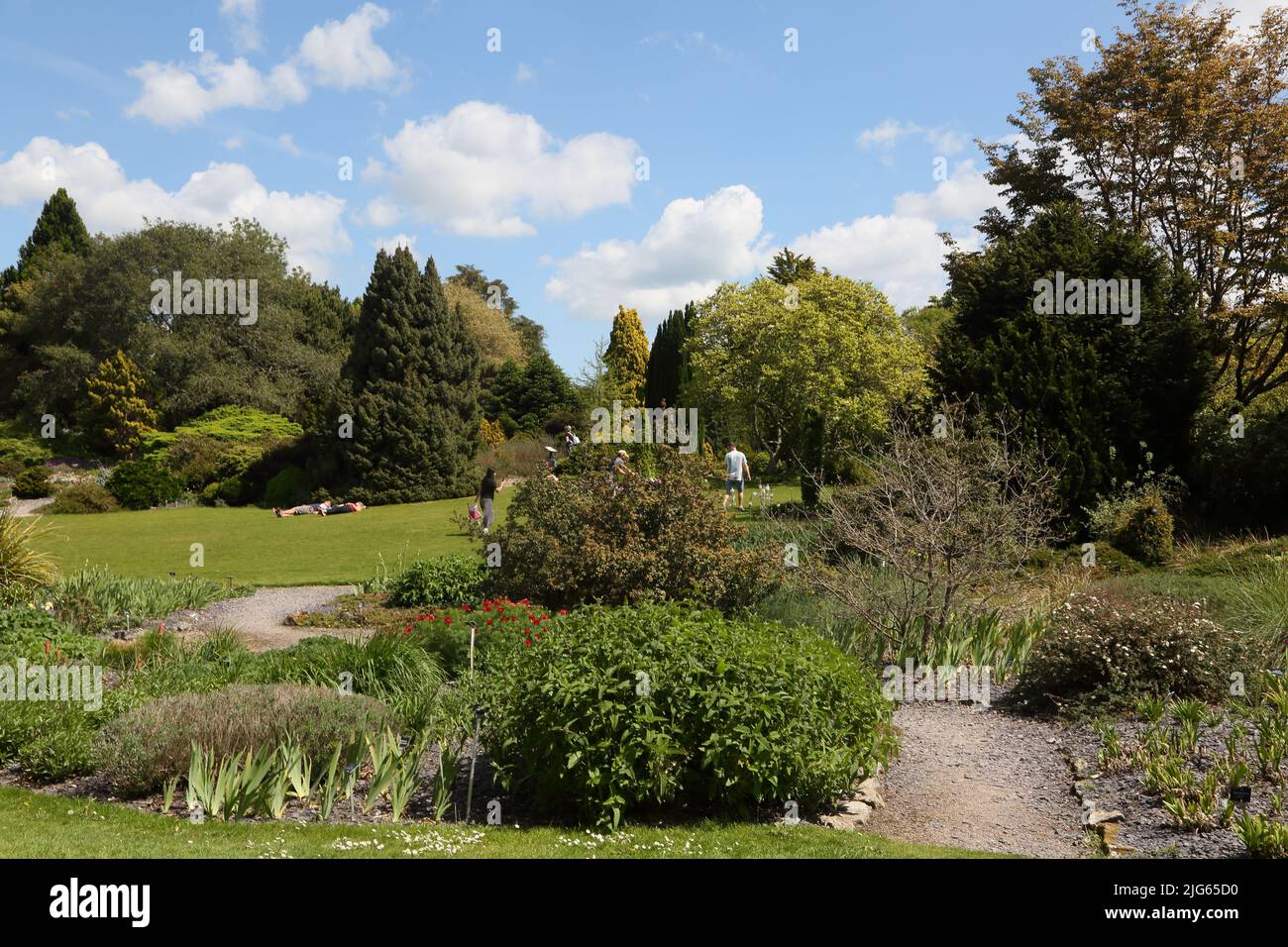 Sir Harold Hillier Gardens Ampfield Romsey Hampshire England Stock Photo Alamy