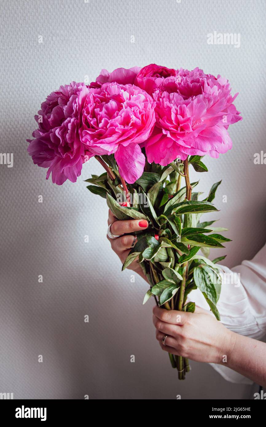 Side view of a beautiful bouquet of pink peonies for wedding celebration held by woman's hands Stock Photo
