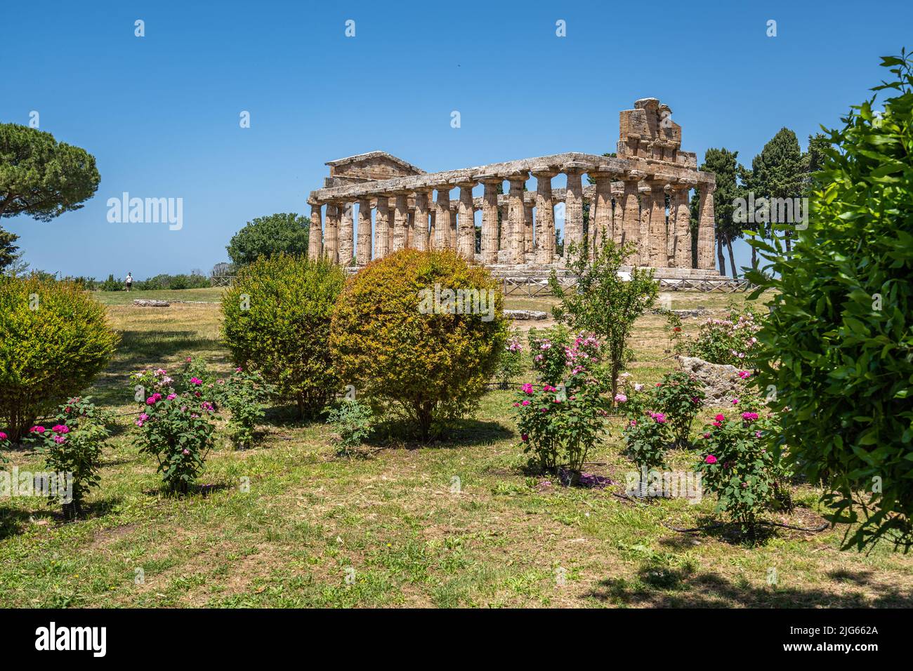 Ancient doric Temple of Athena at the ancient Greek city of Paestum, Campania, Italy Stock Photo