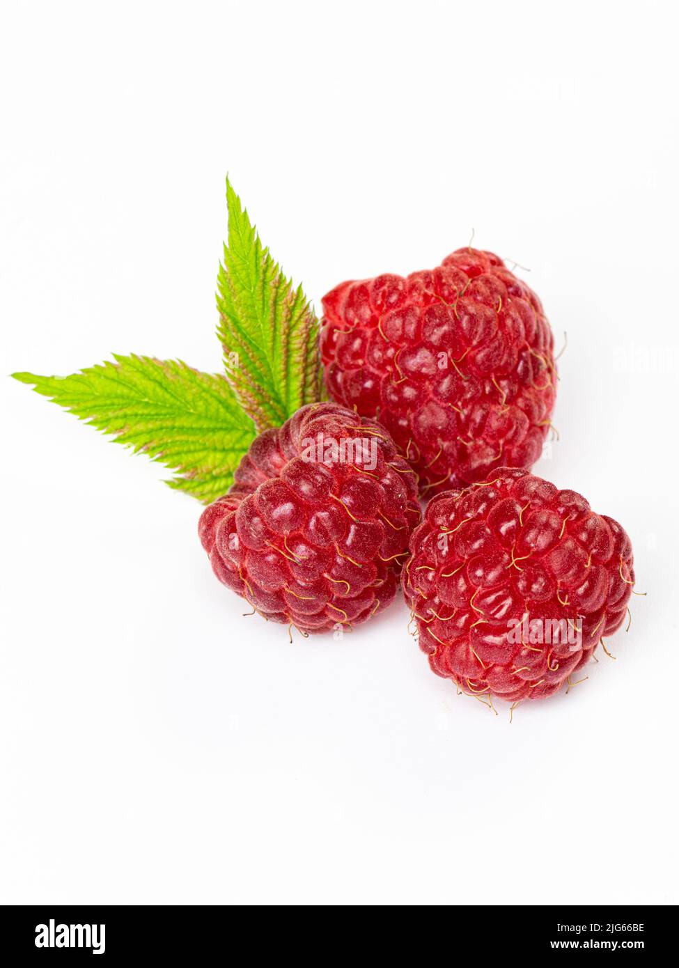 Small Rasperry Fruit Isolated berries. Bunch of raspberry fruits with leaves isolated on ...