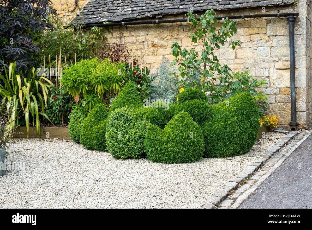 Topiary box hedge hens and chickens at Bourton House gardens, Morton in Marsh. Stock Photo