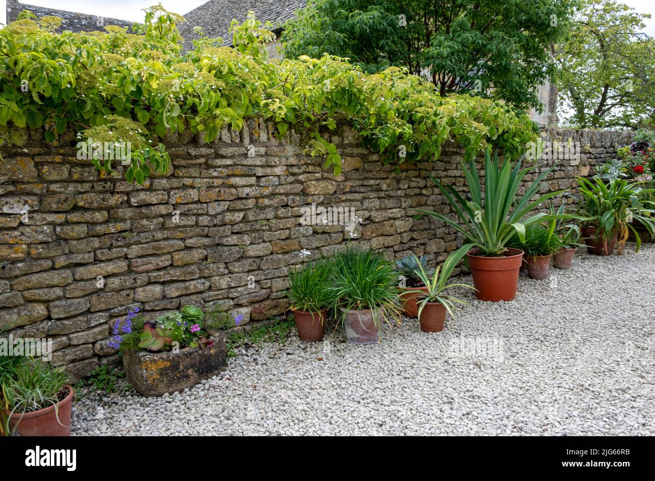 Planters stone wall hi-res stock photography and images - Alamy