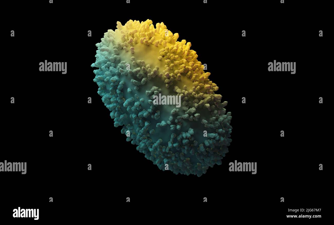 Monkeypox virus 3d rendering. Illustration shows enveloped structure of the virion. Super high definition. Stock Photo