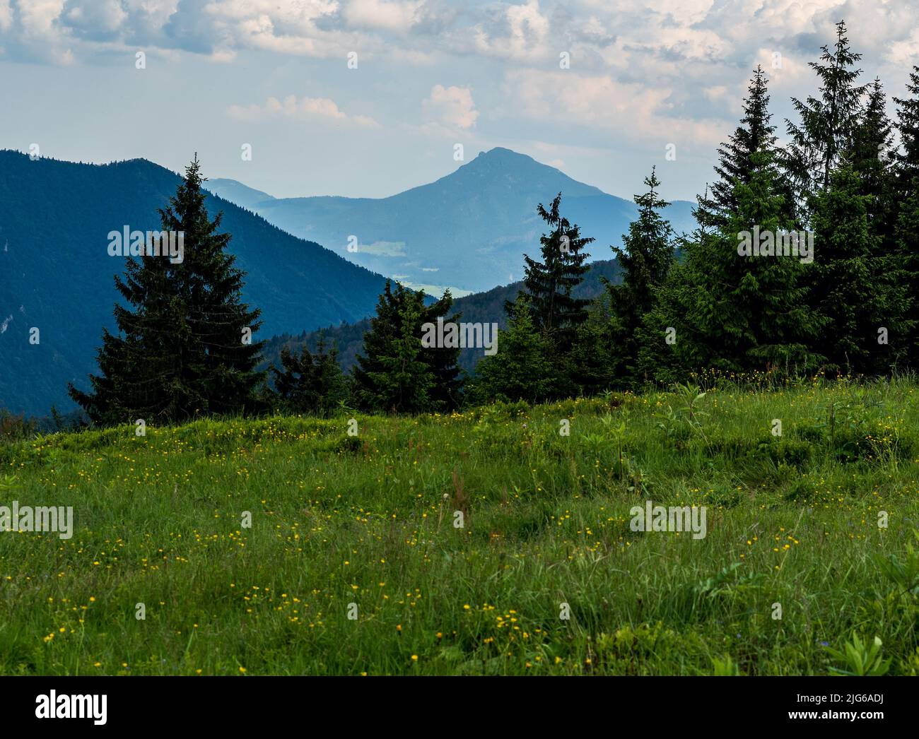 Velky Choc hill from Medzirozsutce mountain pass in Mala Fatra mountains in Slovakia during beautiful summer day Stock Photo