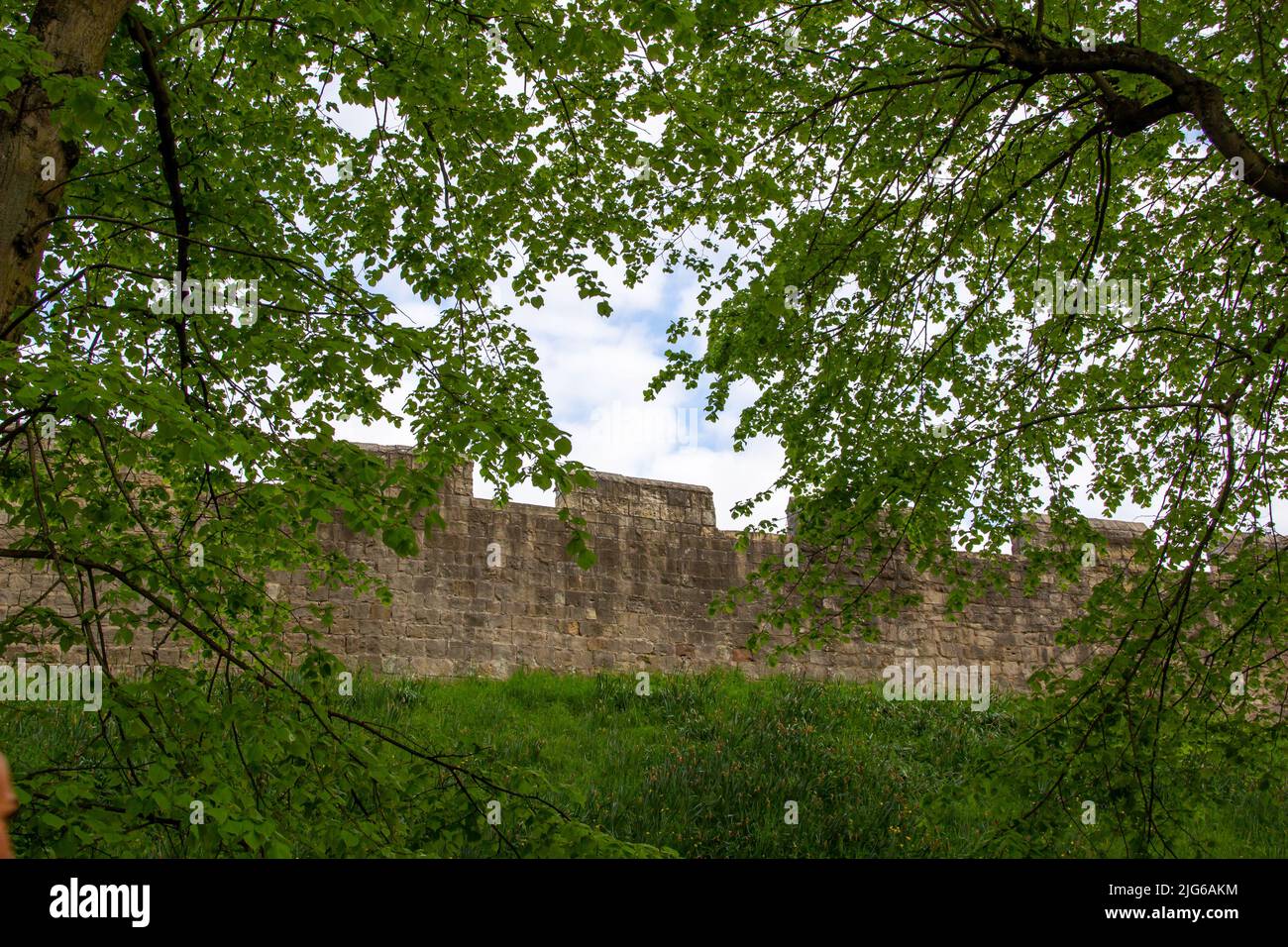 Close up landscape view of the medieval fortified walls that encircle the city of York in England, built in the 13th and 14th centuries Stock Photo