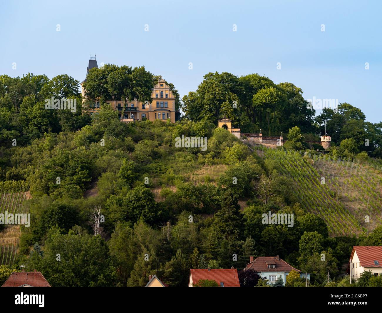 Old villa on top of a vineyard. Beautiful mansion with a a large property. Luxury building with a steep slope in the sunset light. Travel destination Stock Photo