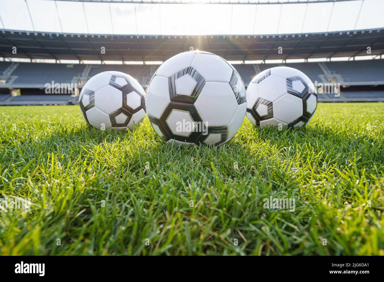 Football ball on fresh green grass pitch. Soccer ball at big stadium