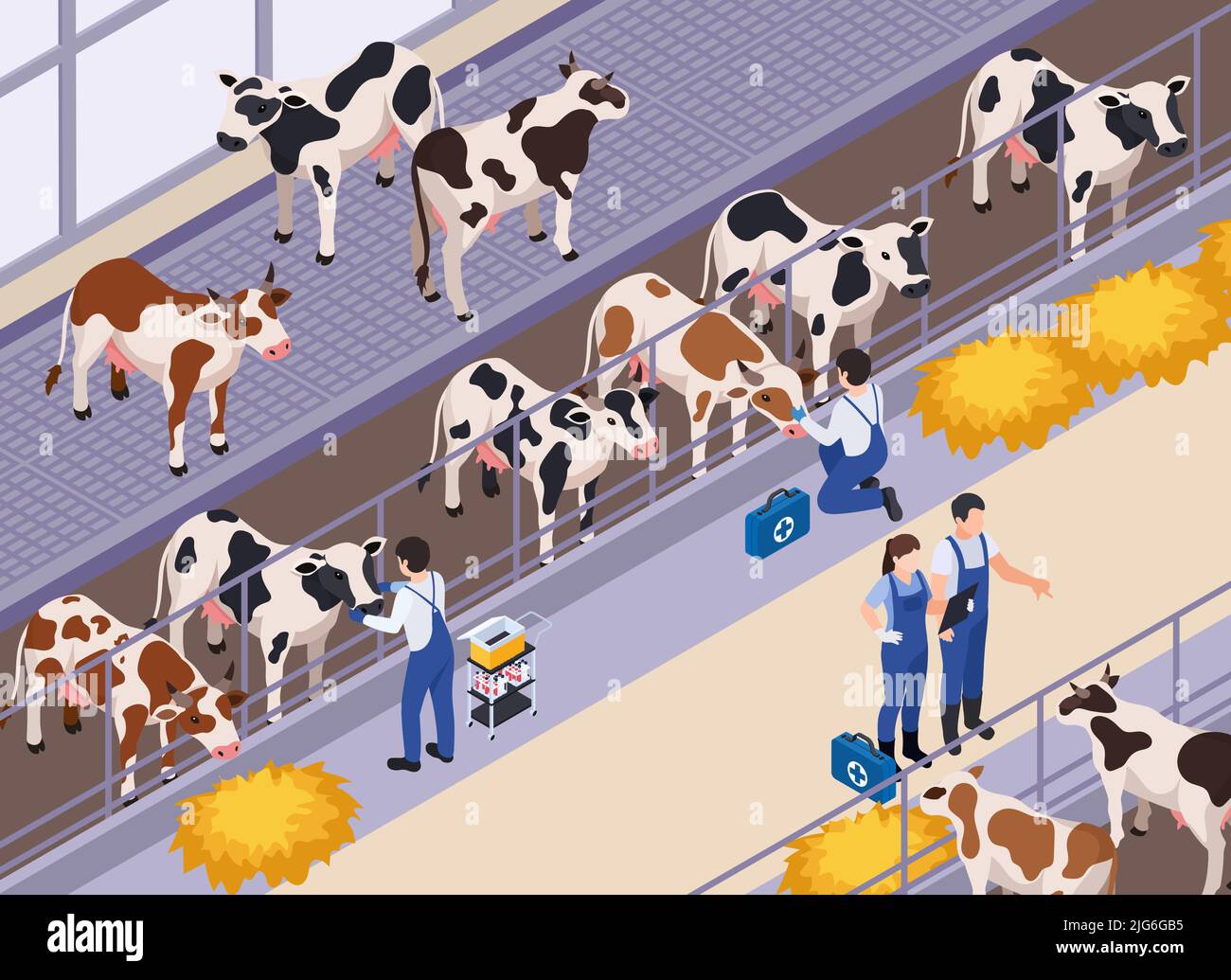 Cattle vets Stock Vector Images - Alamy