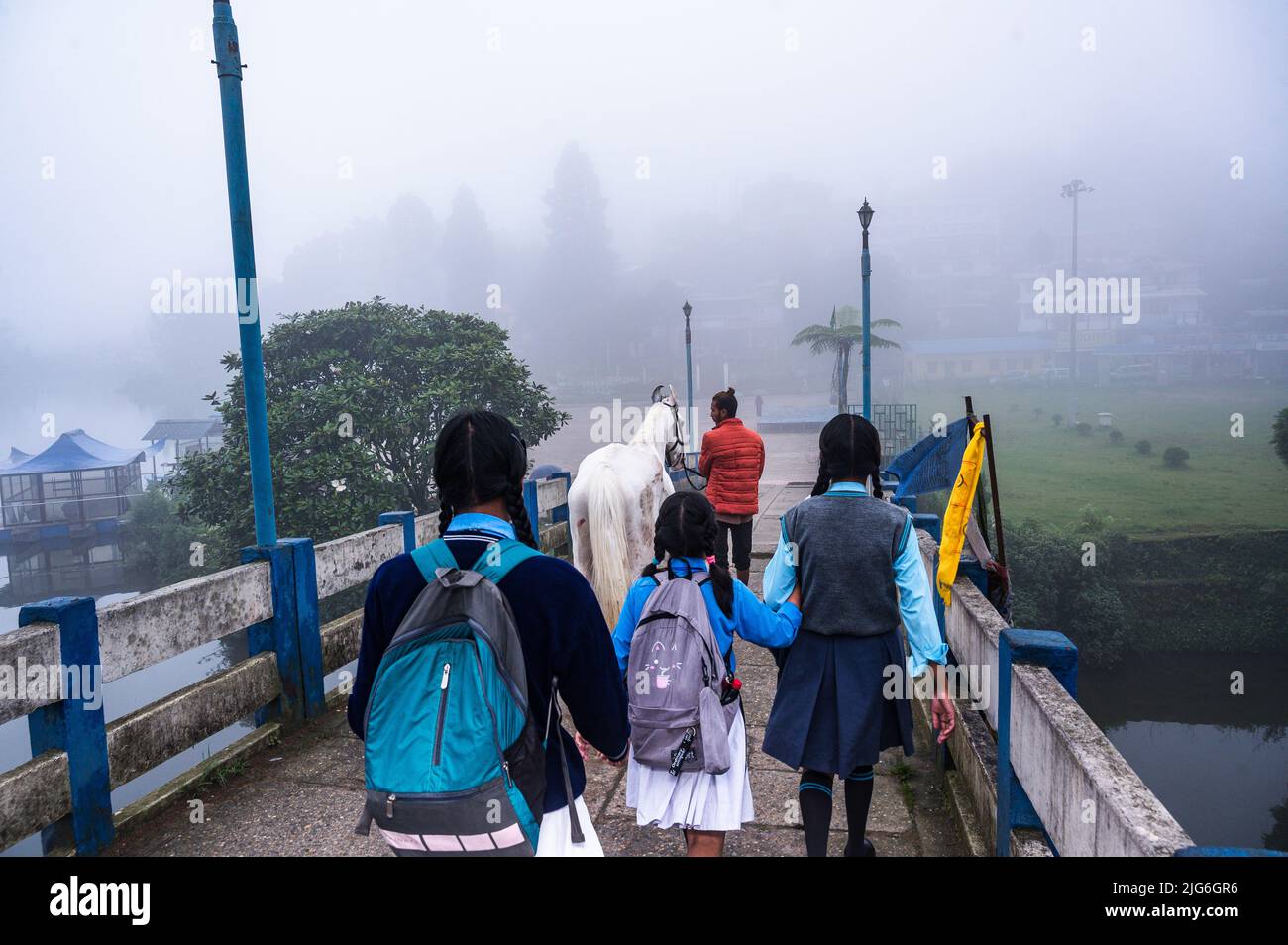 Mirik, West Bengal, India. 10th June, 2022. Students go to school in the dense fog and pine forest on a rainy day through the Rainbow Bridge (Indreni Pull) on the 1.25-kilometres (0.78 mi) long famous Mirik Lake (Sumendu Lake) in Mirik, West Bengal. The literacy rate of Mirik is 88.38 % higher than the state (West Bengal) average of 76.26 %. In Mirik, female literacy is around 83.13% while the male literacy rate is 93.77 (Credit Image: © Soumyabrata Roy/Pacific Press via ZUMA Press Wire) Stock Photo