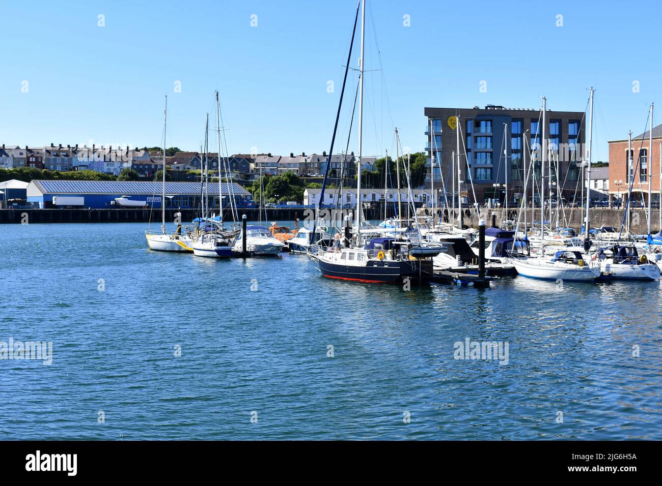 Milford marina, Milford Haven, Pembrokeshire, Wales Stock Photo Alamy