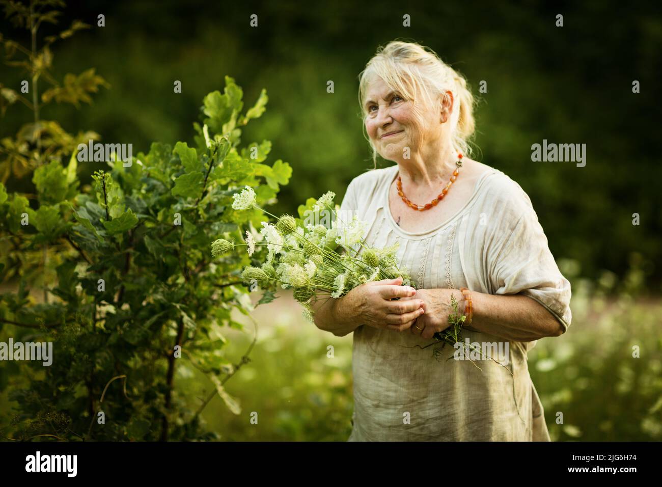 Elderly woman walks around the garden with a bouquet of field flowers Stock Photo