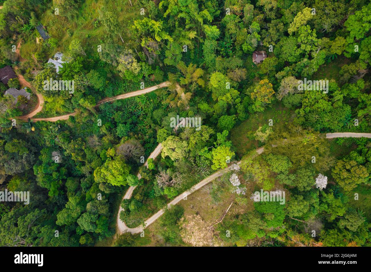 Top aerial view of a curved rural road in the north rainforest of Chiang dao, Thailand Stock Photo