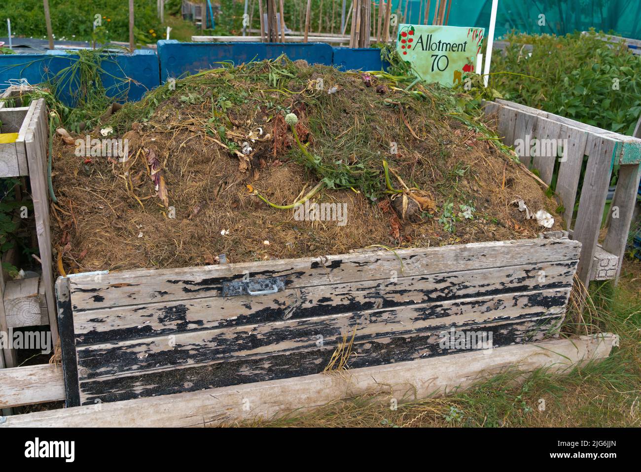 Allotment, vegetable, patch, compost heap, cabbage patch, planning
