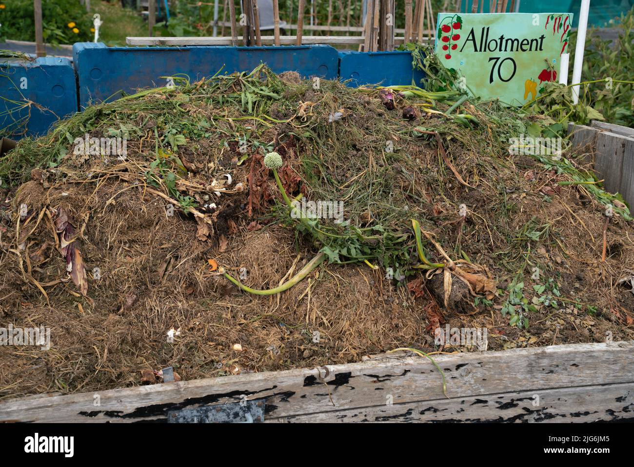 Allotment, vegetable, patch, compost heap, cabbage patch, planning