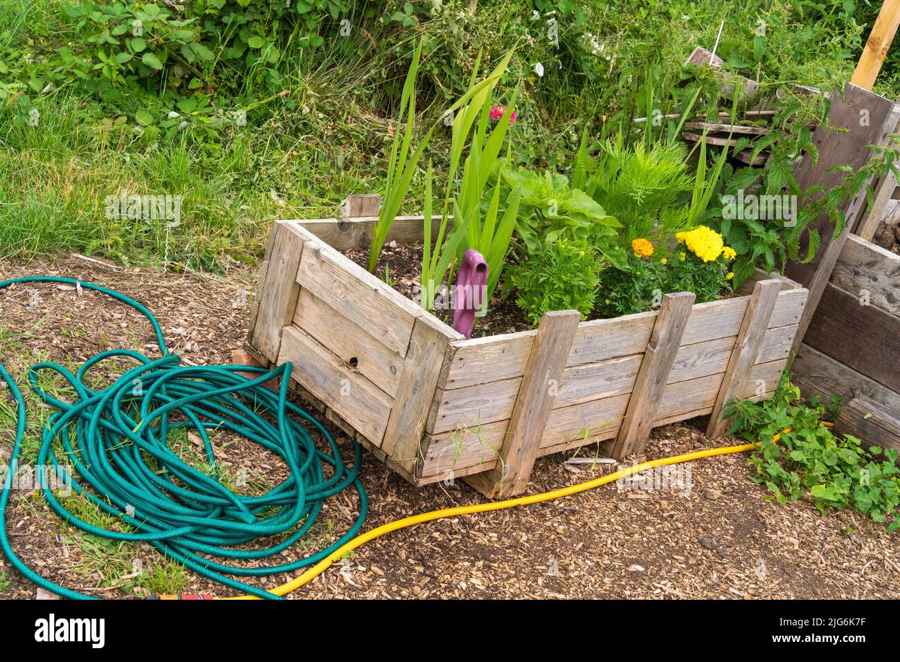 Allotments, vegetable, patch, compost heap, cabbage patch, planning