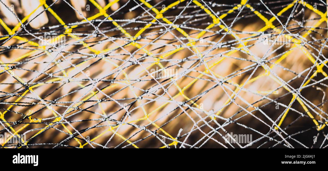 BANNER abstract close-up macro real photo beautiful wallpaper ...