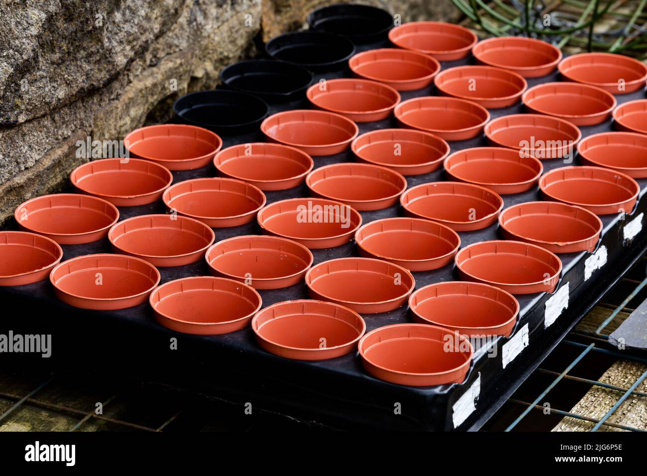 Potting on plant pots in black plastic tray hires stock photography