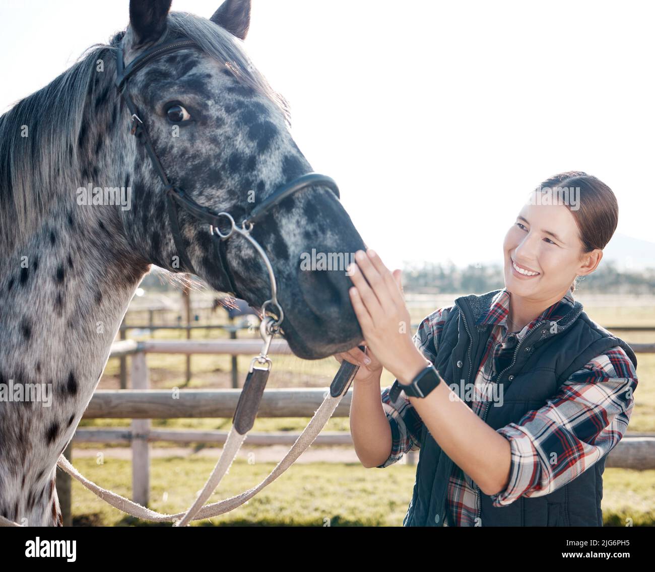A horse doesnt care how much you know. Shot of an attractive young