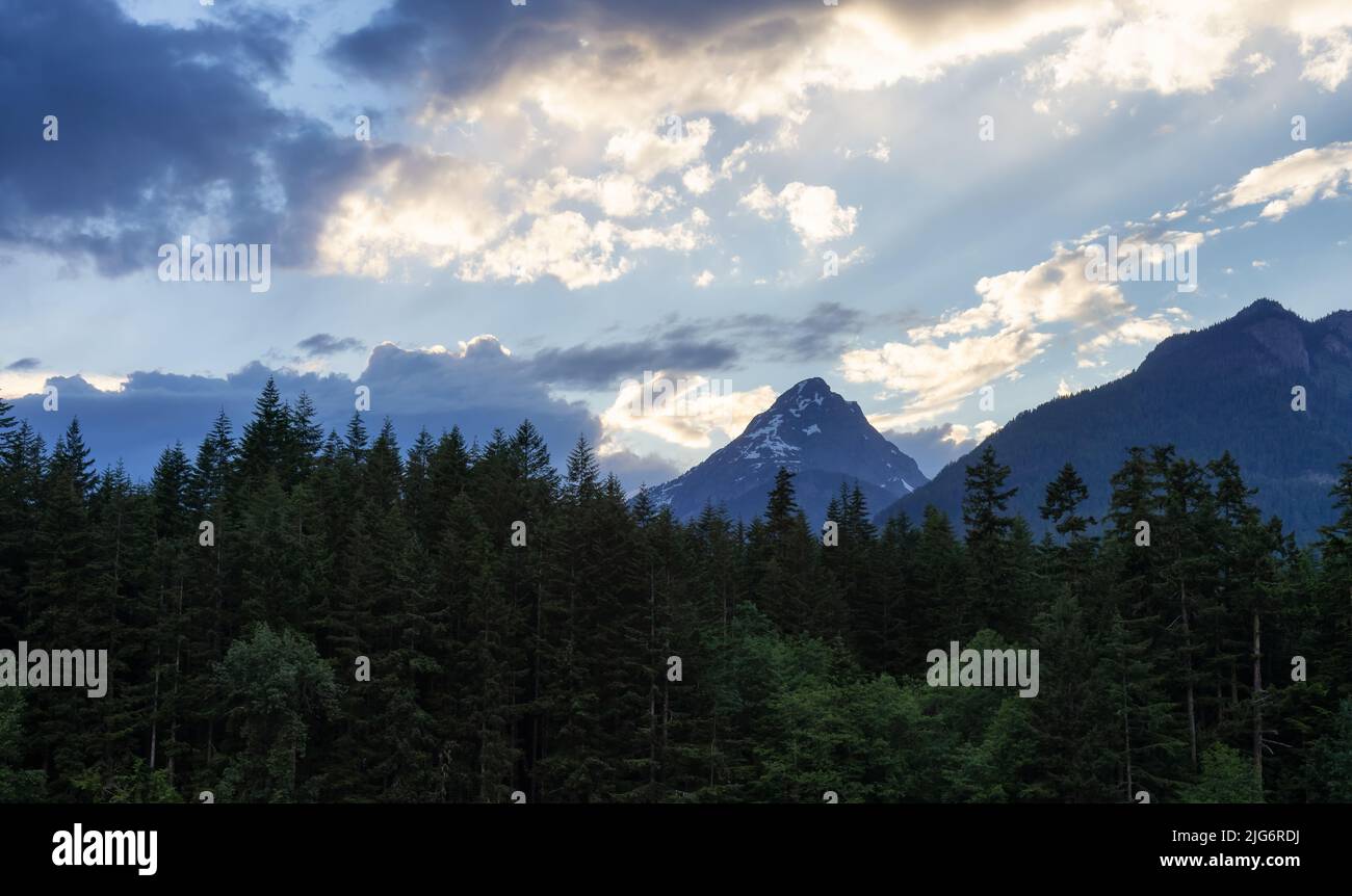 Green Trees and mountains in Canadian Landscape. Stock Photo