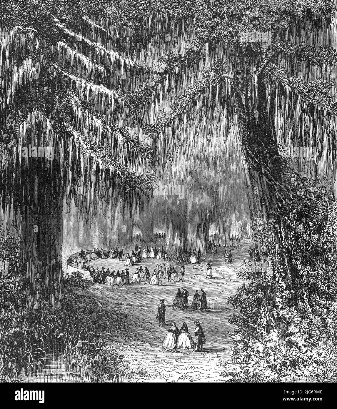 'Cypress Gardens of Chapultepec; A Ride Round the Valley of Mexico', 1875. From, 'Illustrated Travels' by H.W. Bates. [Cassell, Petter, and Galpin, c1880, London] Belle Sauvage Works.London E.C. Stock Photo